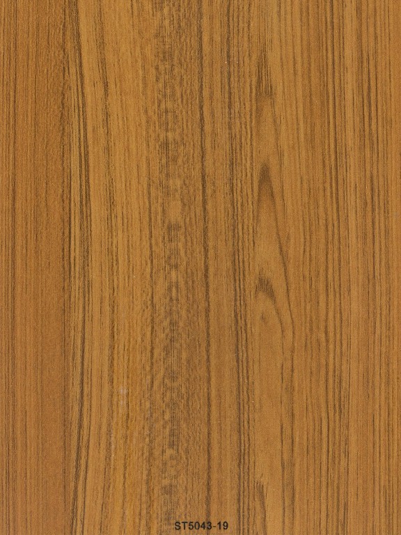 ST5043-19